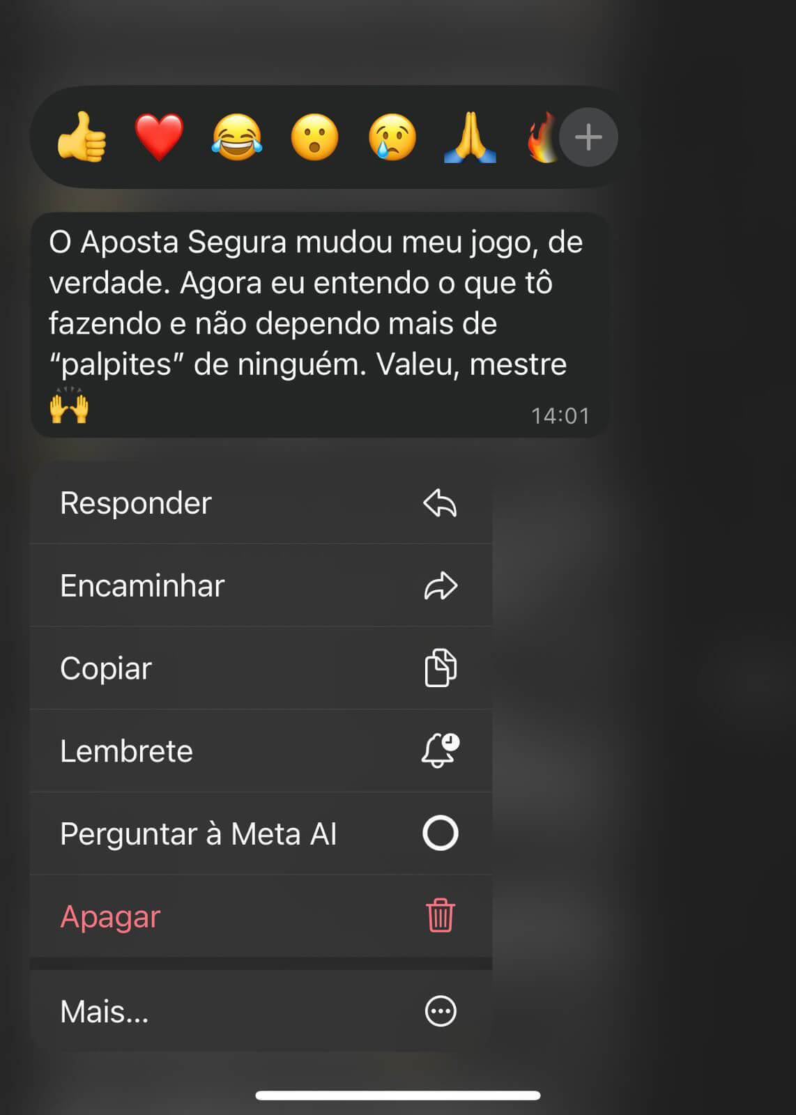 WhatsApp Image 2025-10-13 at 14.30.40